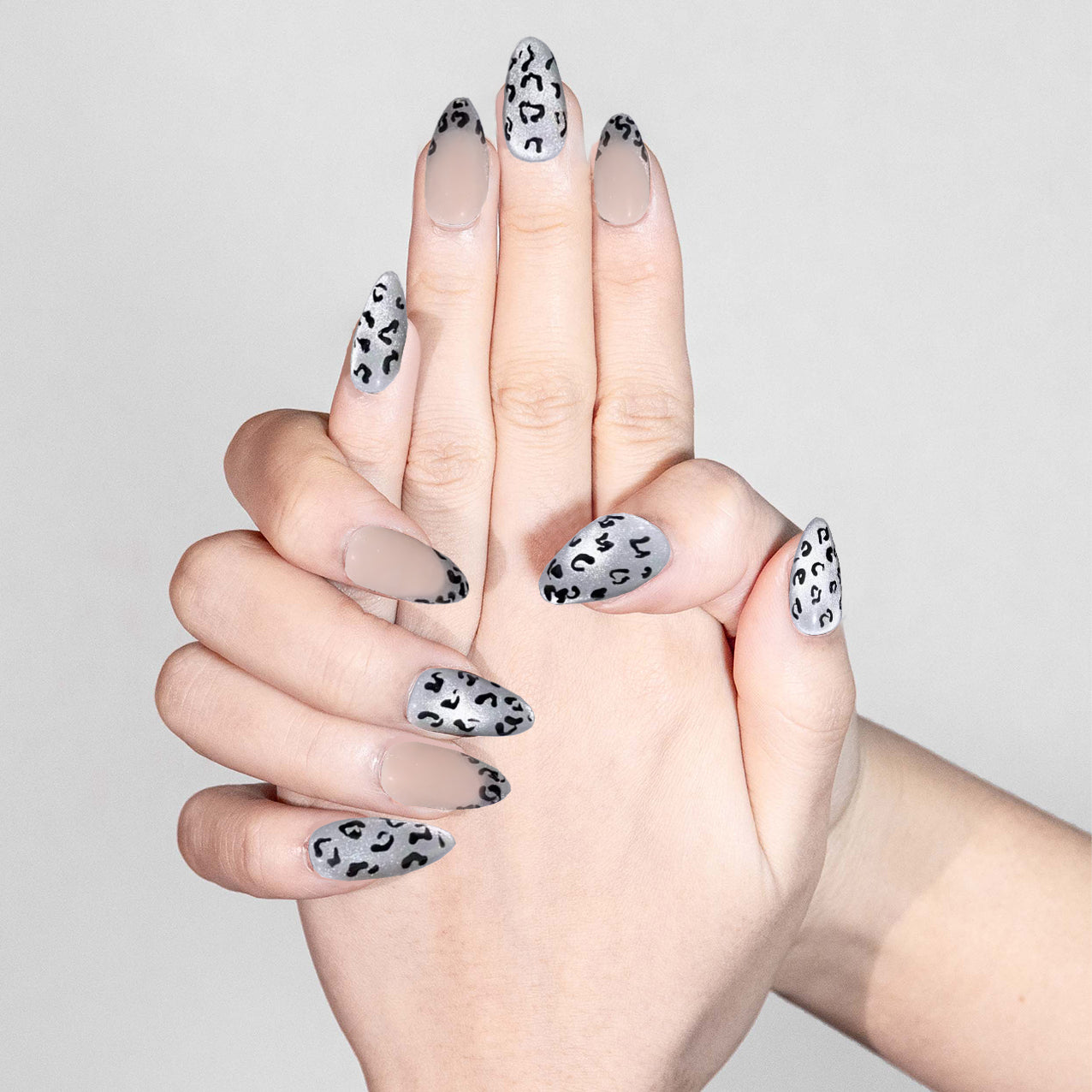 Silver Roar