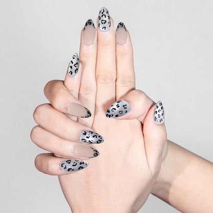 Silver Roar